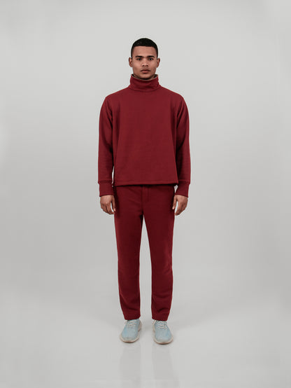 Polera cuello alto - burgundy